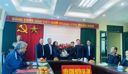 Cụm thi đua số 3 tổ chức giao lưu và chia tay đồng chí Bùi Thị Hải Lý -...